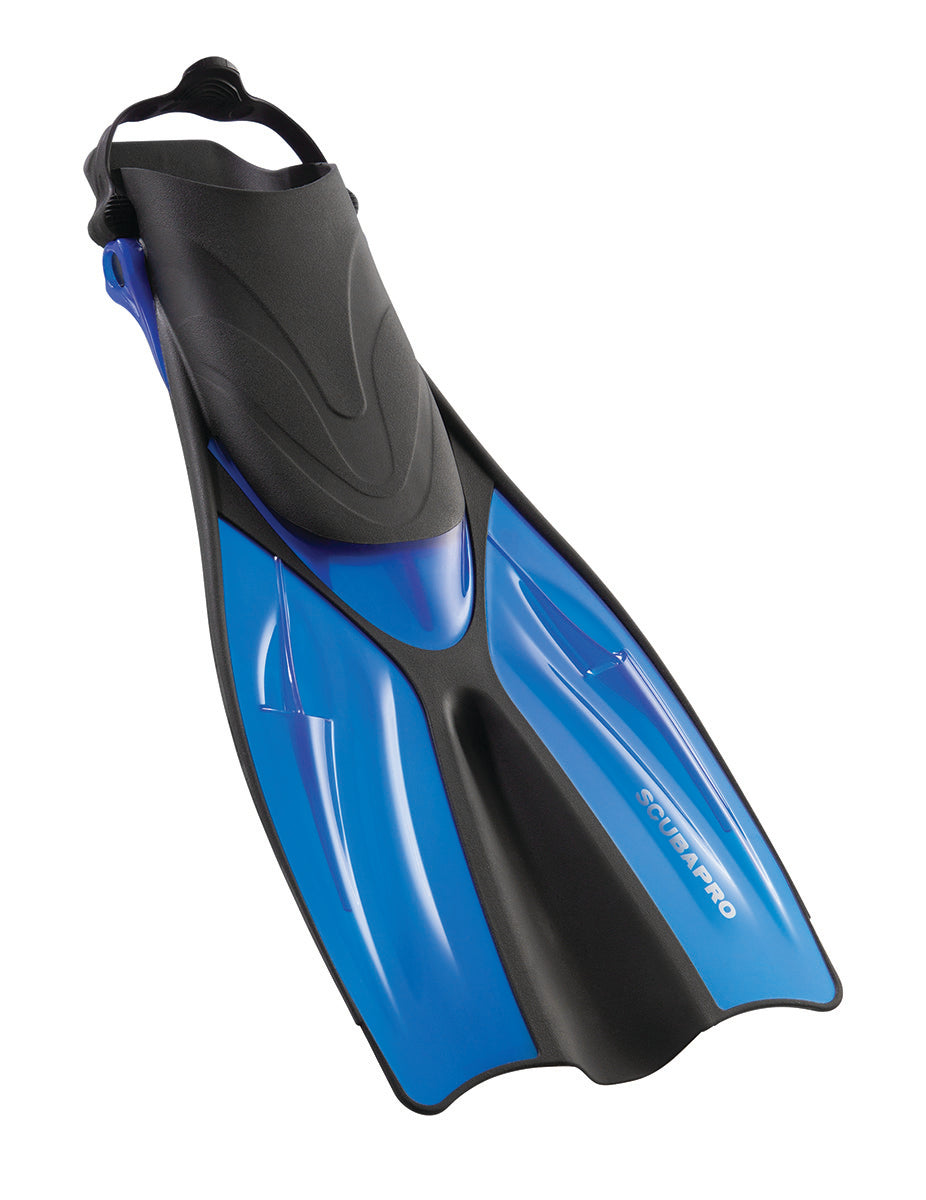 Dolphine Adult