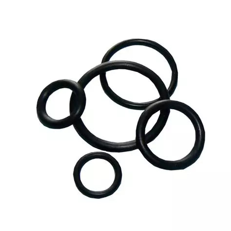 Bright Assorted O-rings