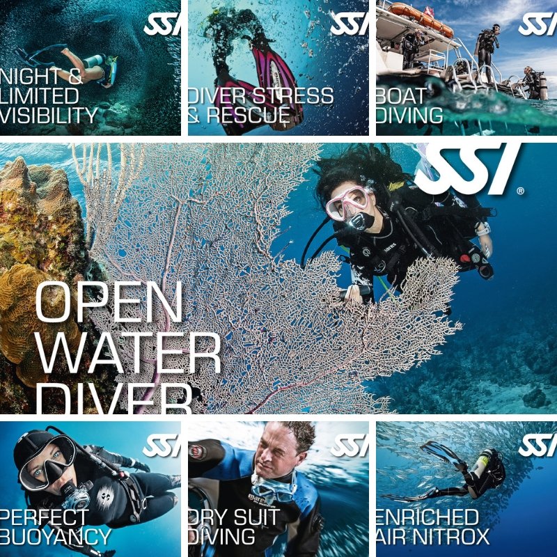 Kursusbevis plastkort