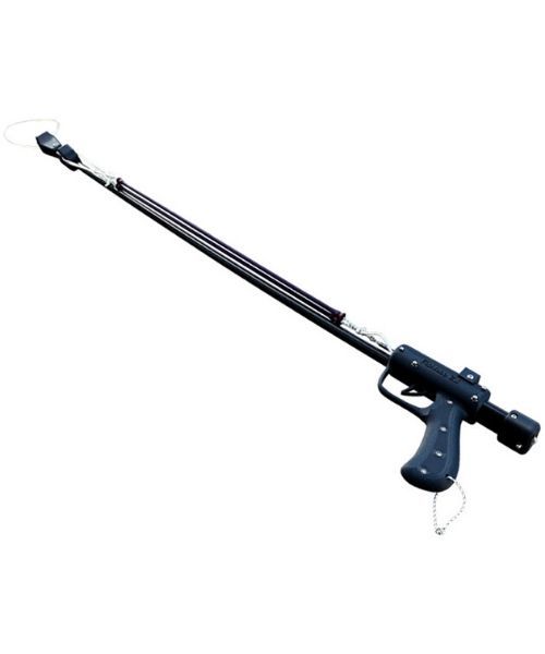 Meraki FishLoop