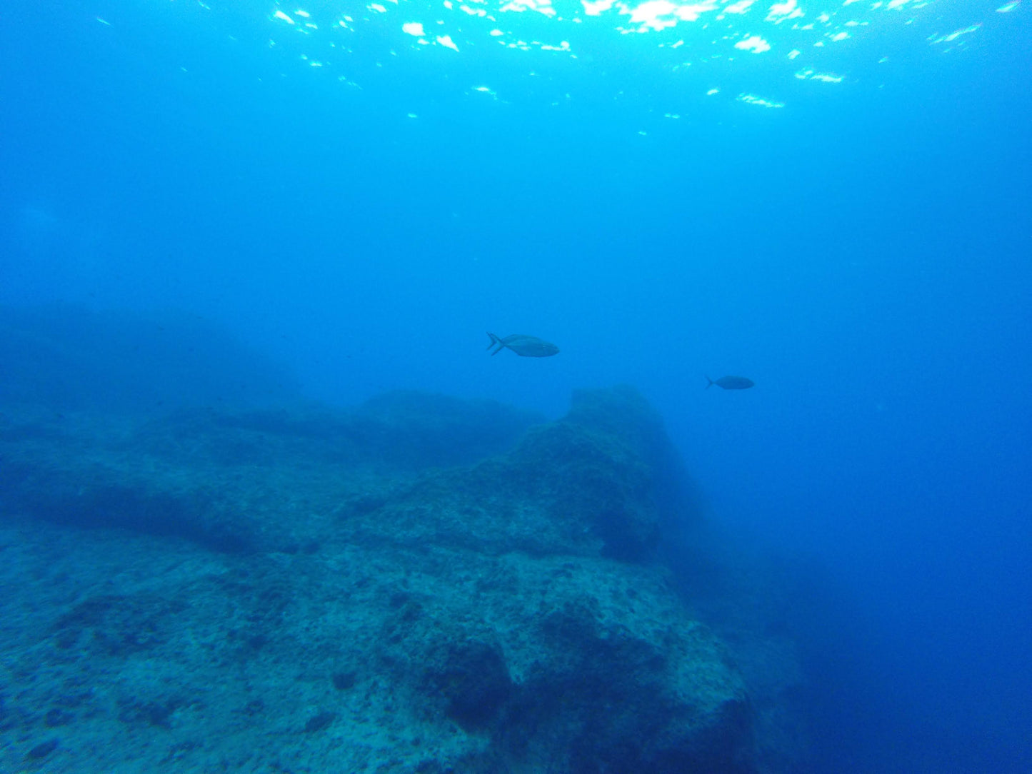 Malta – sol, kultur og spændende dykning