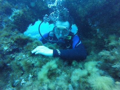 Malta – sol, kultur og spændende dykning