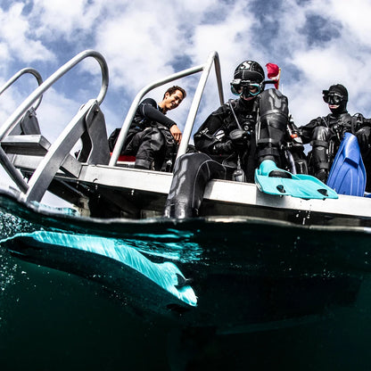 Go Sport Rejsefinner