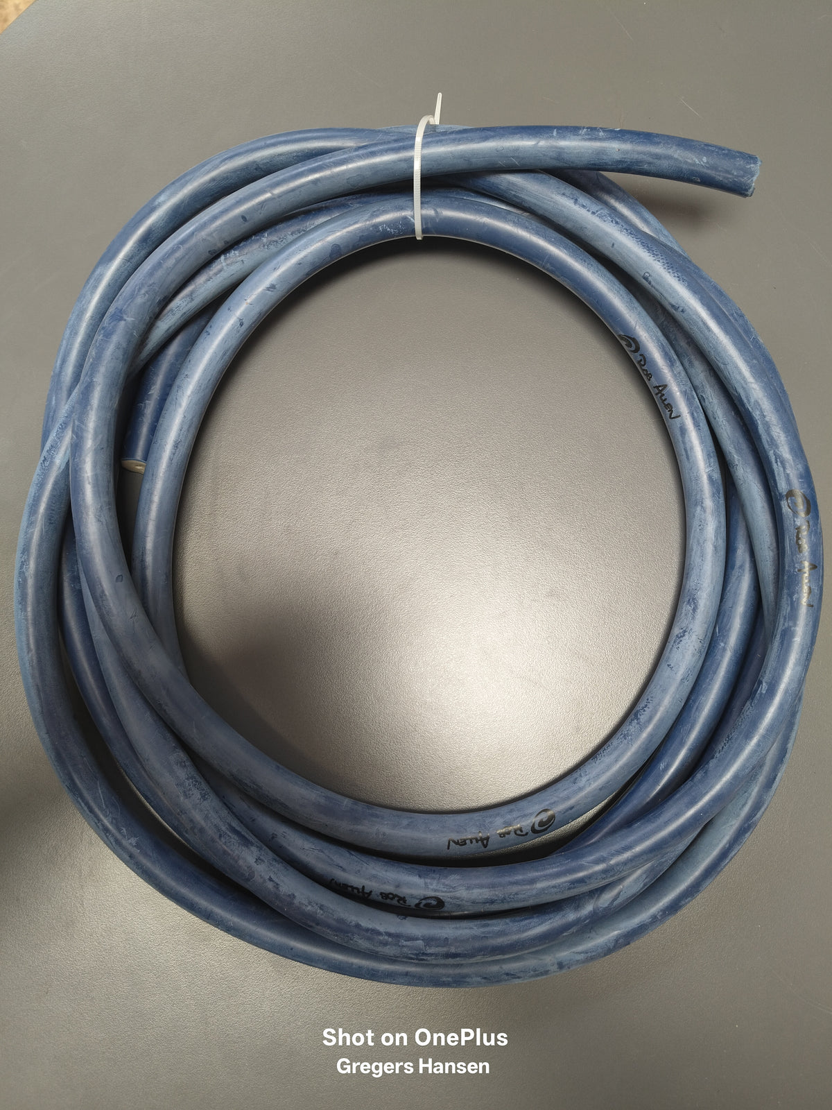 Bungee 5m