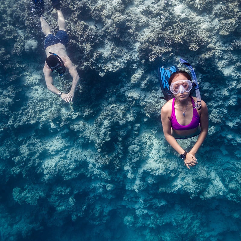 Suunto D4 Freediving Computer